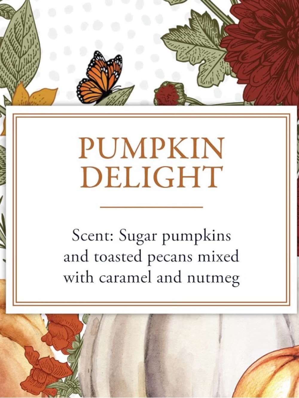 Michel Design Works Pumpkin Delight Soy Blend Candle~pumpkins, pecan, nutmeg/New - Picture 4 of 5
